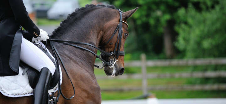 teaser veranstaltung termine 2